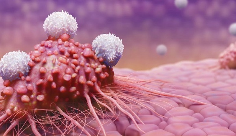 Liệu pháp tế bào CAR-T : Hiểu rõ về phương pháp điều trị mới trong điều trị ung thư